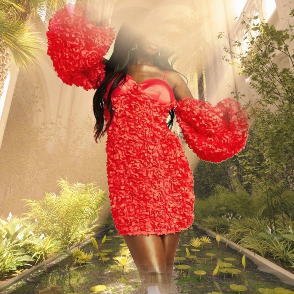 ❤️ASOS LUXE 3D NWT Flower Mini Dress with Puff Sleeves ❤️